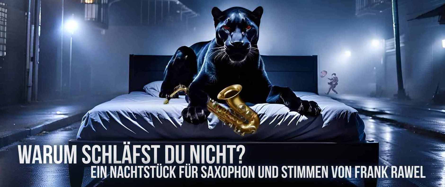 Cover Warum schläfst du nicht, zeigt einen schwarzen Panther nachts auf einem Bett, dass auf der Straße steht